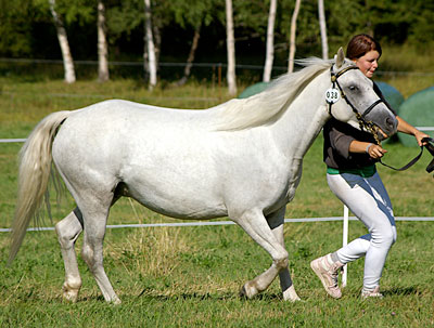Bostorp Beautie Girl