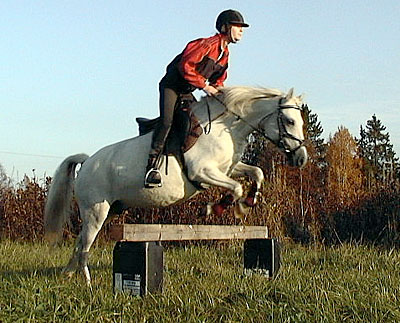 Bostorp Beautie Girl