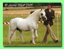 Moondelight Idefix 36-0086 (foto © Jenny Staaf)