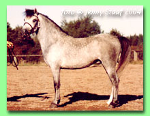 Pegasus Commander RWM 66 (foto  Jenny Staaf)