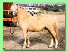 Twilight Mystic 36-0081 (foto © Jenny Staaf)