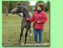 Risegrds Beauty 35-0151 ( Jenny Staaf)